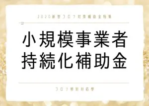 コロナ対応型小規模事業者持続化補助金